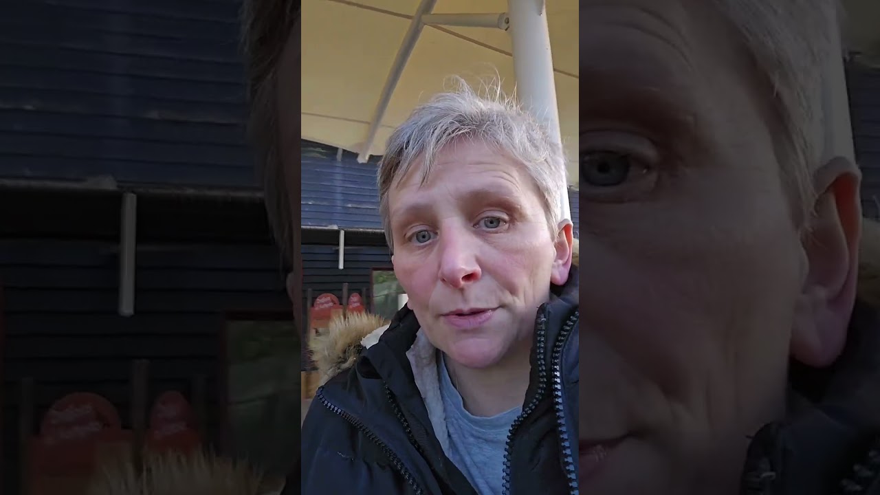 Colchester zoo (part ) 