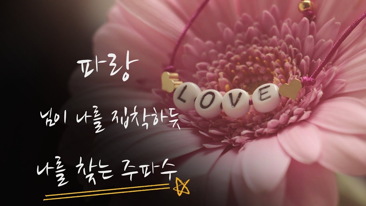 (신청주파수) 님이 집착하듯 나를 찾는 주파수
