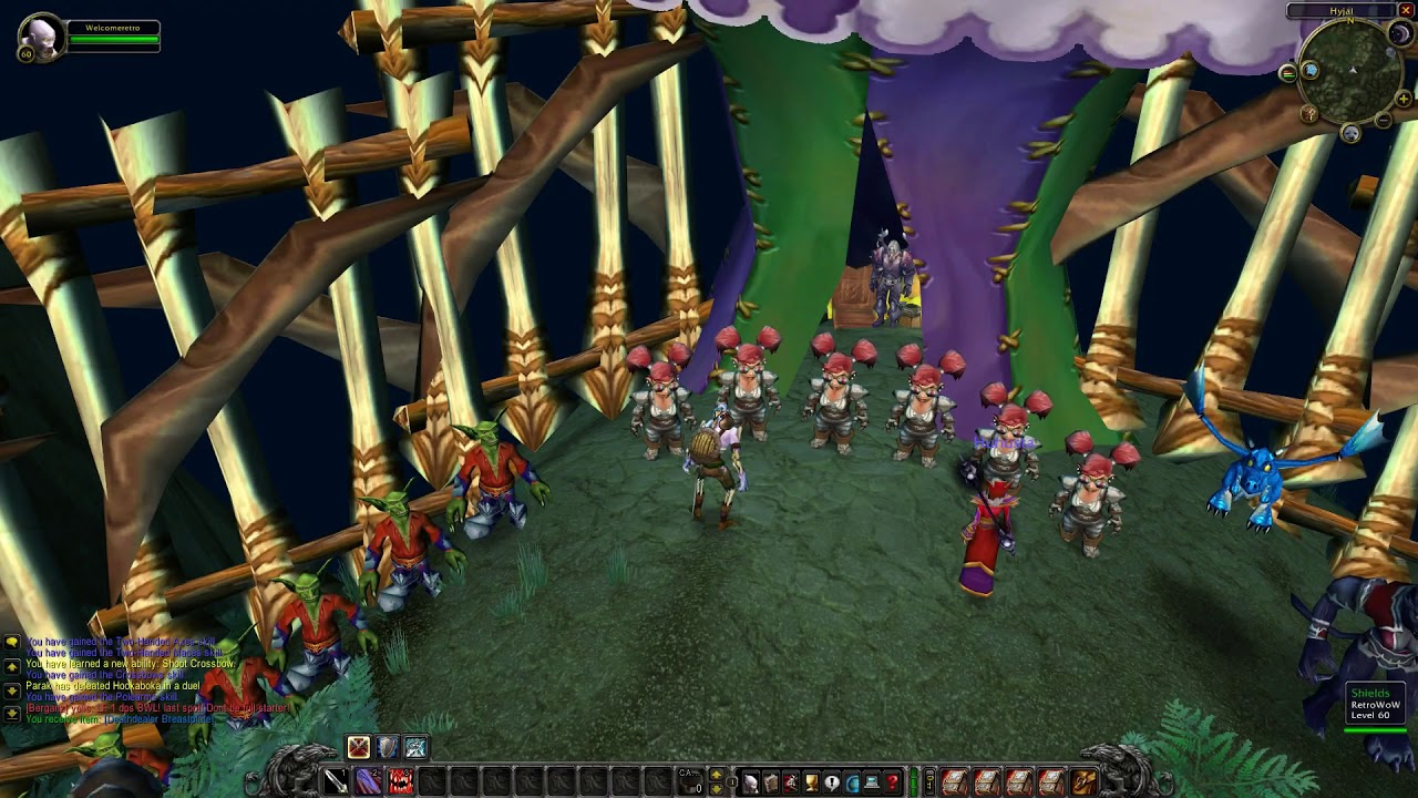 RetroWoW Beginners Guide! How To Start Playing/Introduction To The Server!