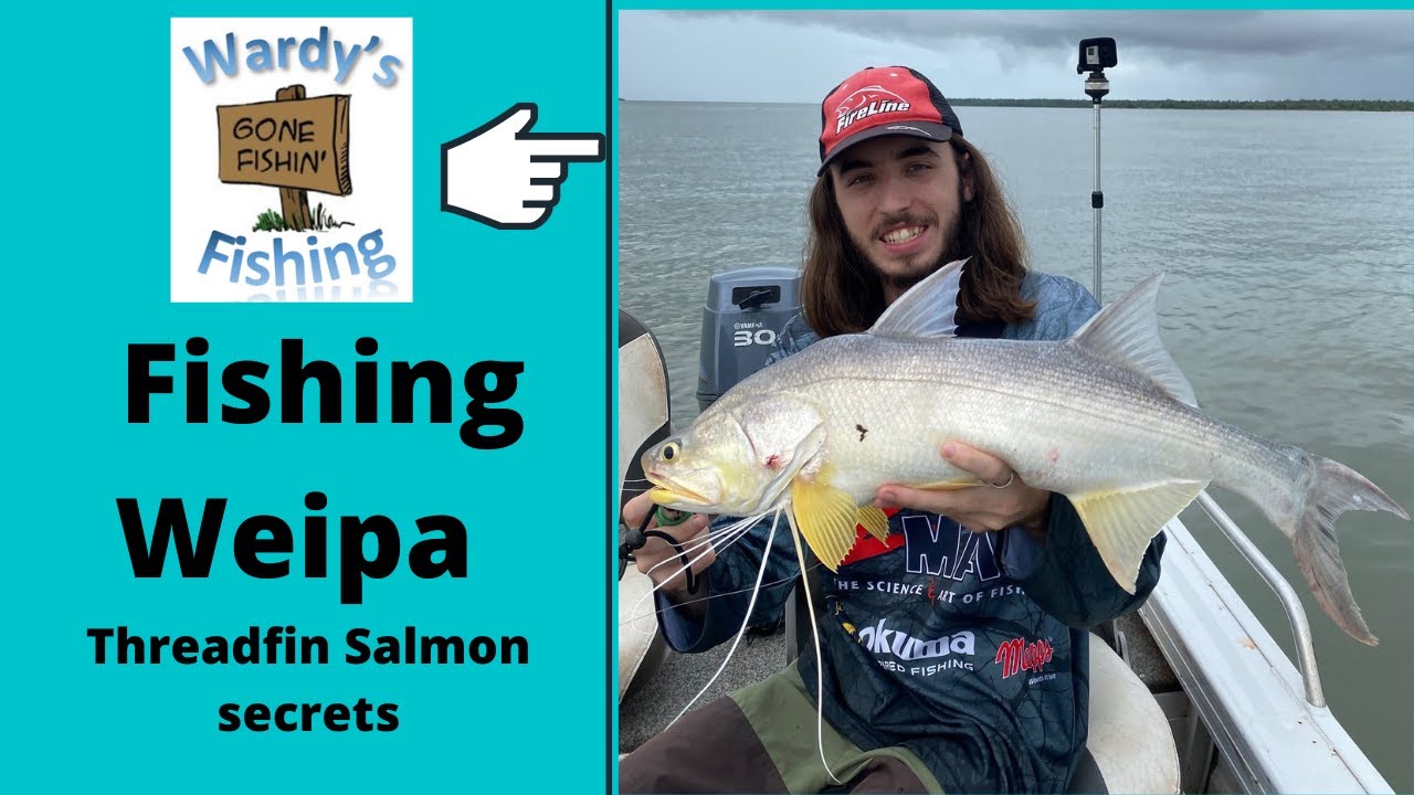 Fishing Weipa. Threadfin Salmon Secrets
