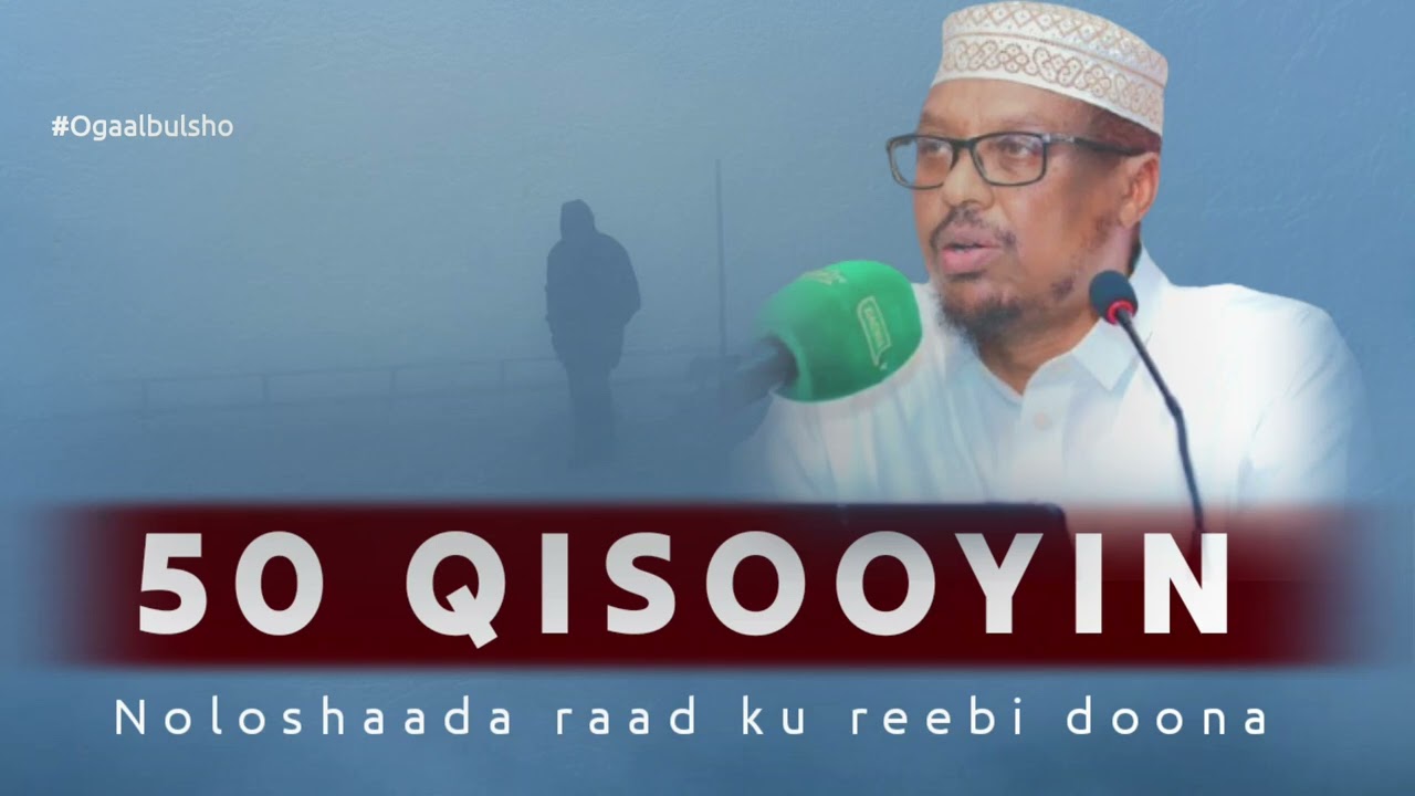 TOP 50 QISOOYIN XIGMAD IYO KU CIMRO QAADASHO MUDAN || SH MUSTAFE XAAJI @OGAALBULSHO #shmustafe