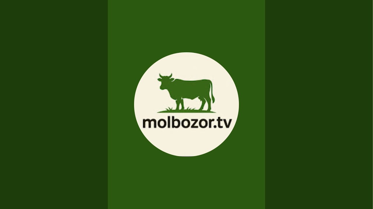 Молбозор ТВ в прямом эфире! Молбозори Гулакандоз