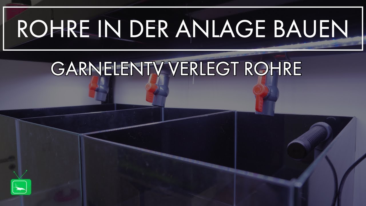 Verrohrung in der Aquarienanlage  | PVC Rohre verbauen | GarnelenTv