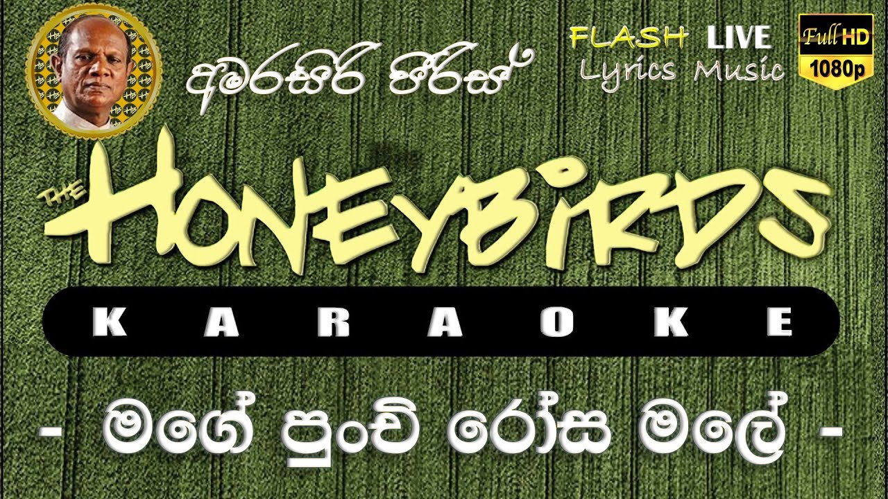 Mage Punchi Rosa Male karaoke (Without Voice) මගේ පුංචි රෝස මලේ කැරෝකේ