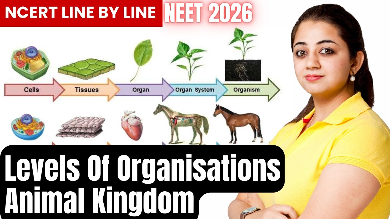 Levels of Organisation | Animal Kingdom | Class 11 Biology NEET 2026 | NCERT Line by Line Explained