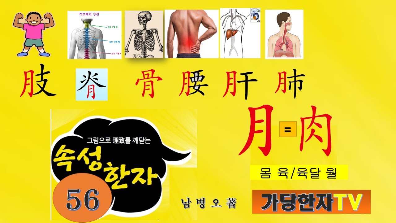 56강 달월月  육달월. 몸육. 한자급수 사범 남병오