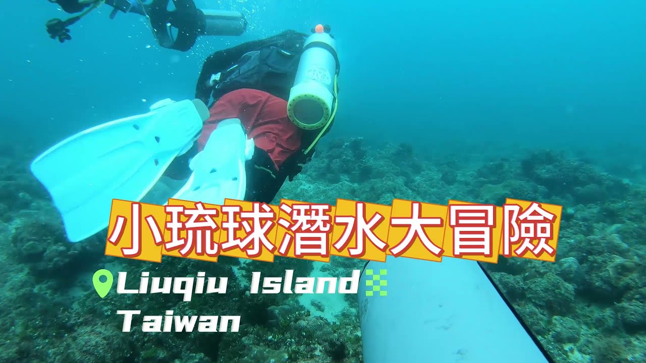 【小琉球潛水大冒險】3 潛全紀錄! 玩水堆、看到超多海龜和小丑魚、夜潛驚喜不斷!