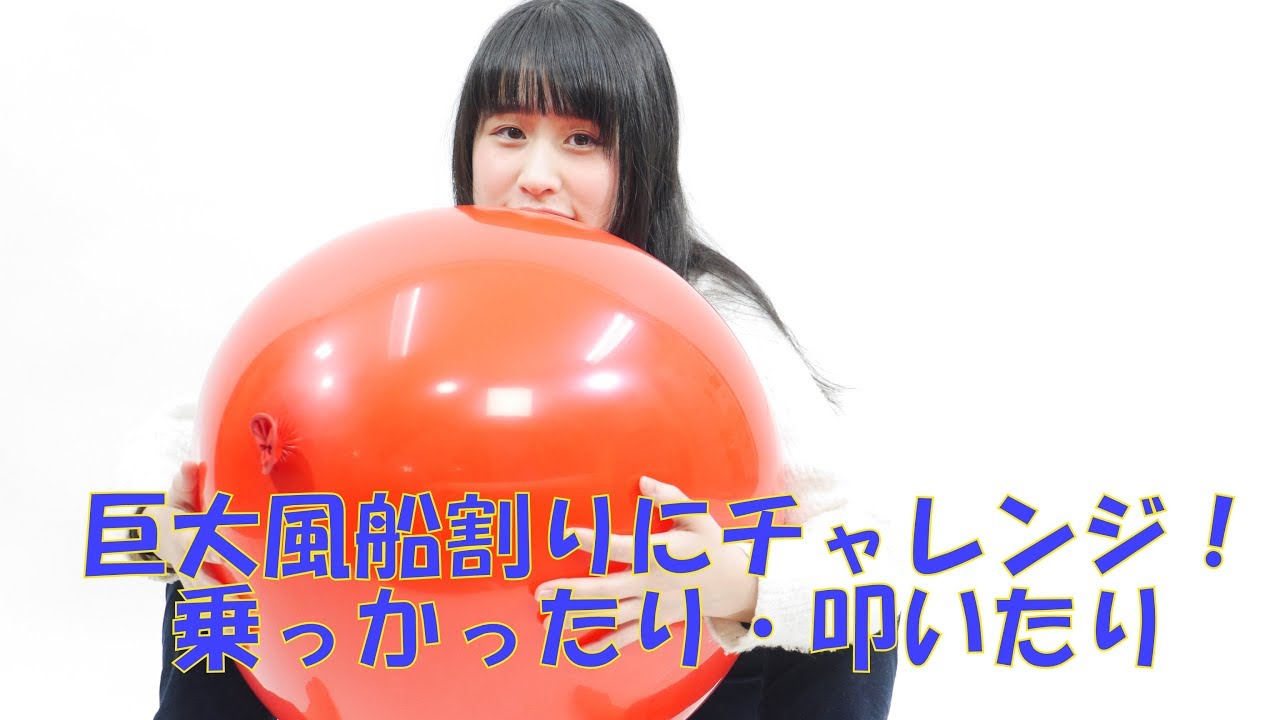 臆病なしおん恐くて手が動かない　巨大風船割りにチャレンジ！　　balloonbust