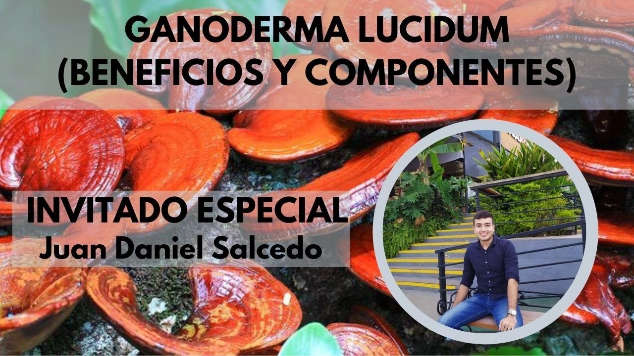 GNODERMA LUCIDUM (BENEFICIOS Y COMPONENTES) - Juan Daniel Salcedo