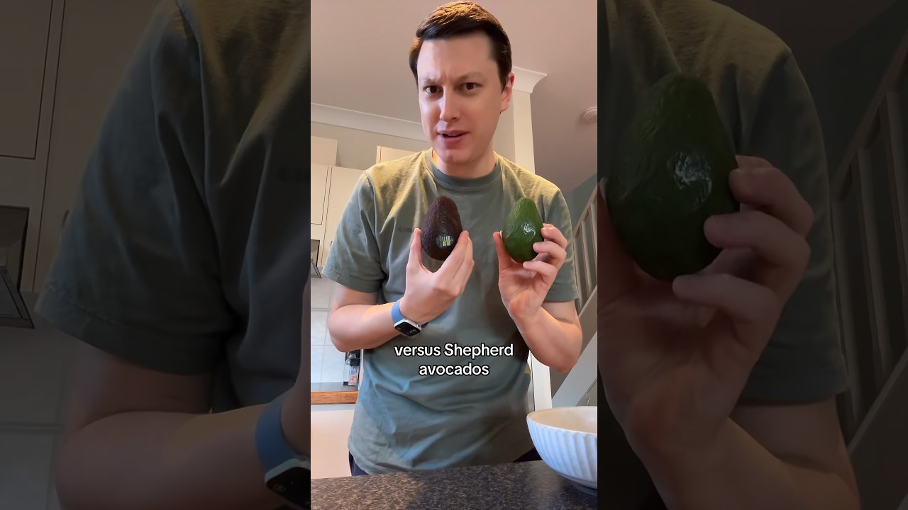 Hass vs Shepherd Avocados? #australia