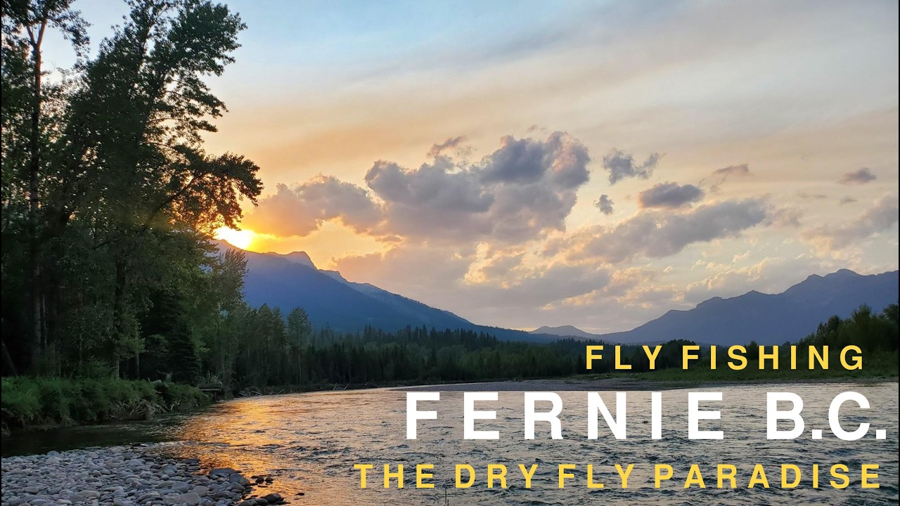 Fly Fishing Fernie B.C. a Dry Fly Paradise