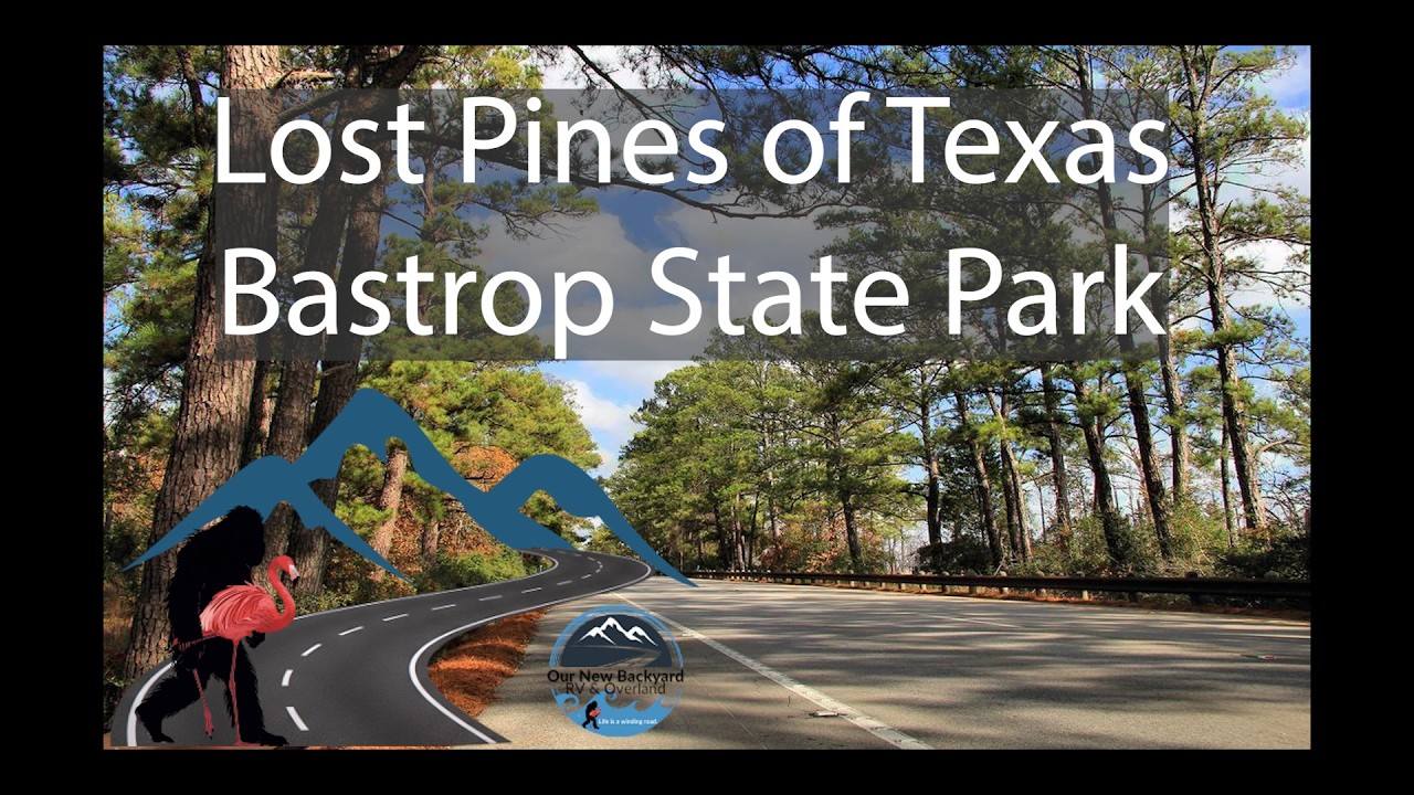 Camping Close to Home | Lost Pines of Texas | Bastrop State Park