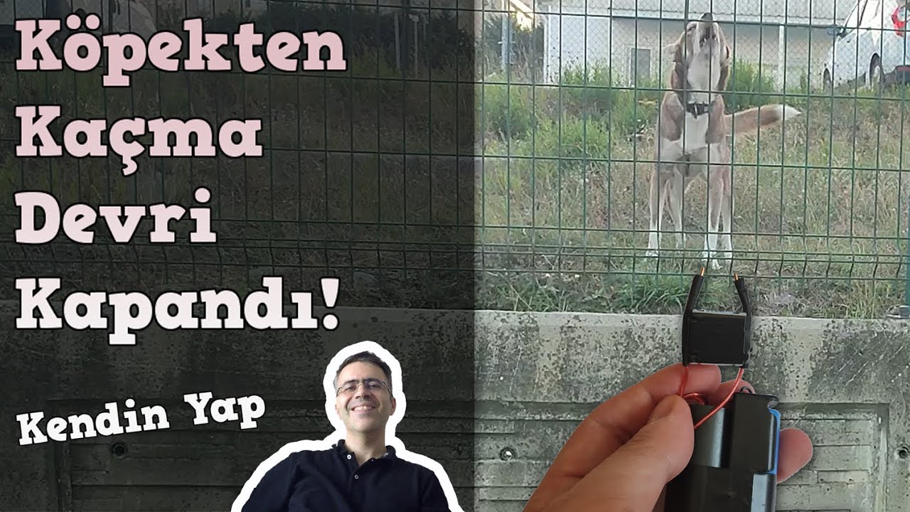 KÖPEKSAVAR YAPIMI. 400KV ARK JENERATÖRÜ KÖPEKLERDE İŞE YARIYOR MU?