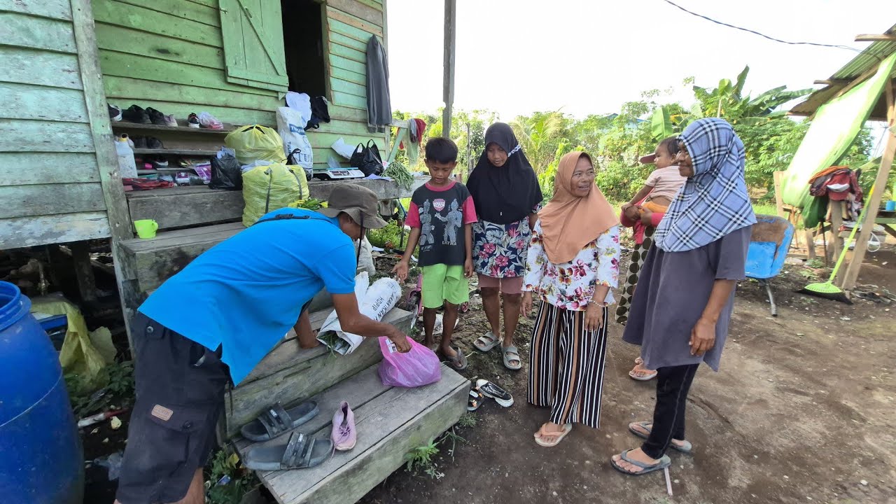 SUASANA SORE DI TRANSMIGRASI KALIMANTAN UTARA