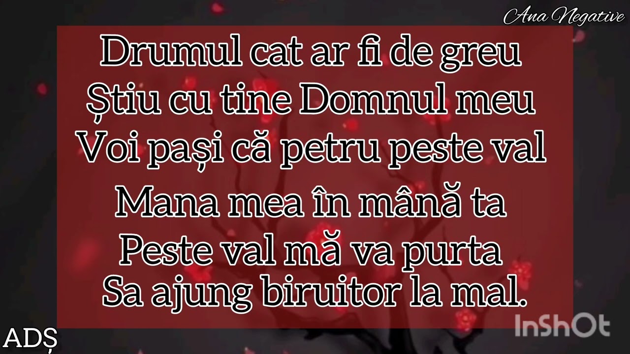 Negativ ton fata| Tu minuni mai poți să faci (Frații din Băcești)