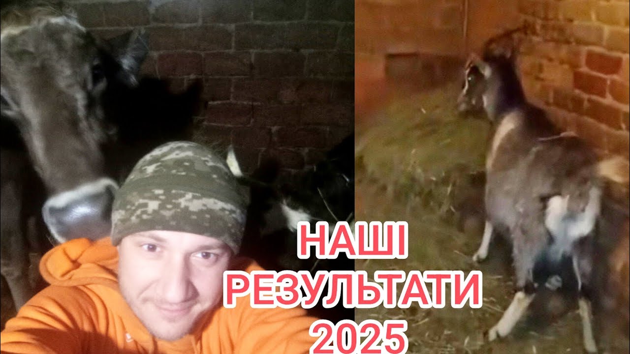 З міста в село. Наш 2025 рік в селі: як виросло господарство і чого ми досягли?