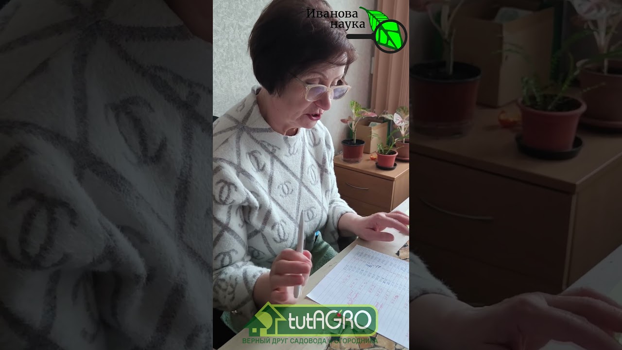 Когда сеять томаты? Золотые правила от агронома с 40-летним стажем. Хватит сеять томат слишком рано!