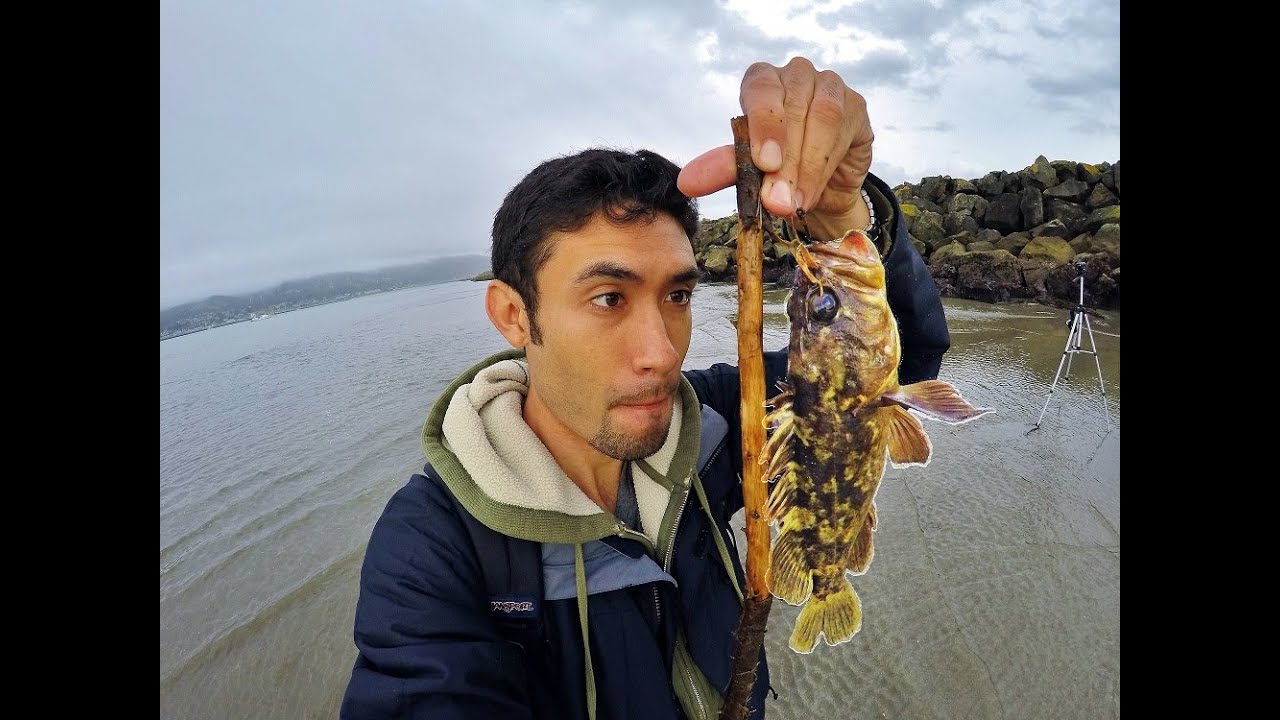 Catching Fish with No Pole or Fishing Supplies