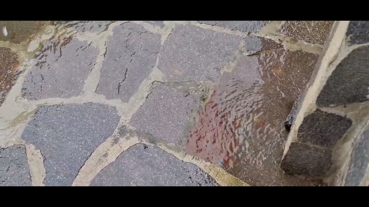 Tarde del 03 de marzo 2026. Borrasca Regina. Viento de 75 km/h y lluvias fuertes.