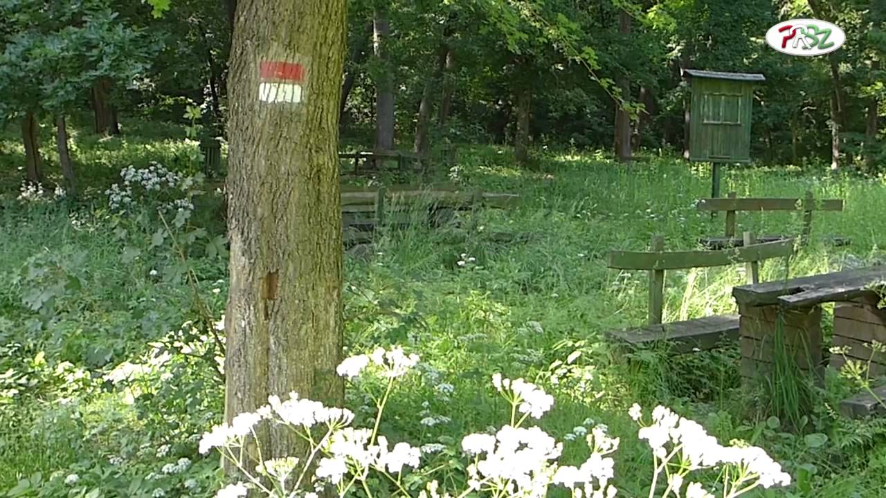 TETTHELY: PUTNOK - PRSZ - 06 - Eltelt egy év, megnéztük a pihenők állapotát