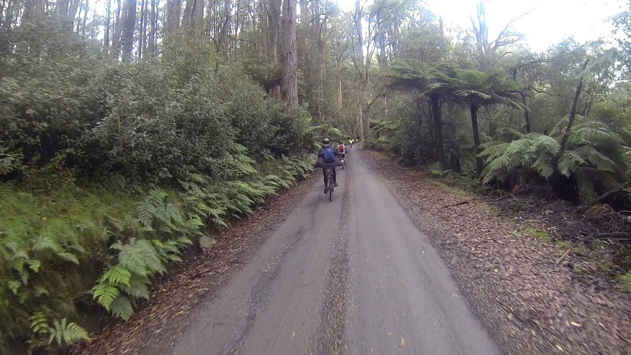 2019 Giant Quick E+ Torture Test
