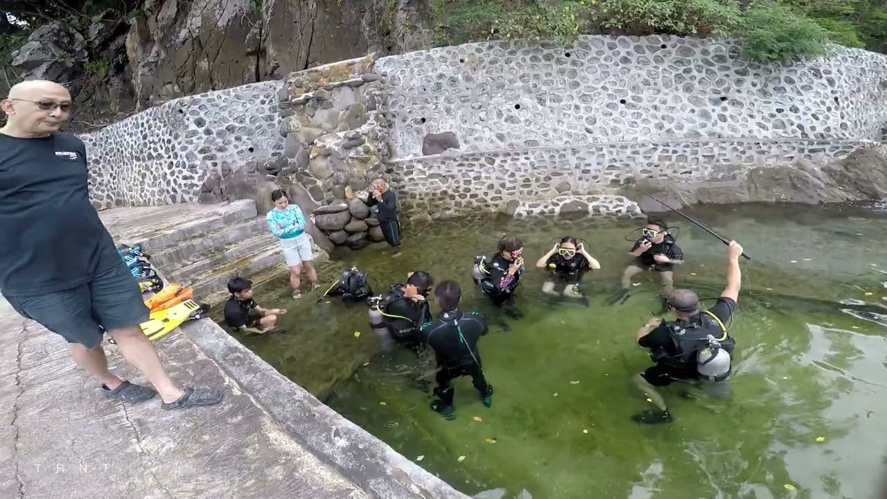 Batangas Scuba Diving HD | TRNT #fyp #travel #nature #fypシ