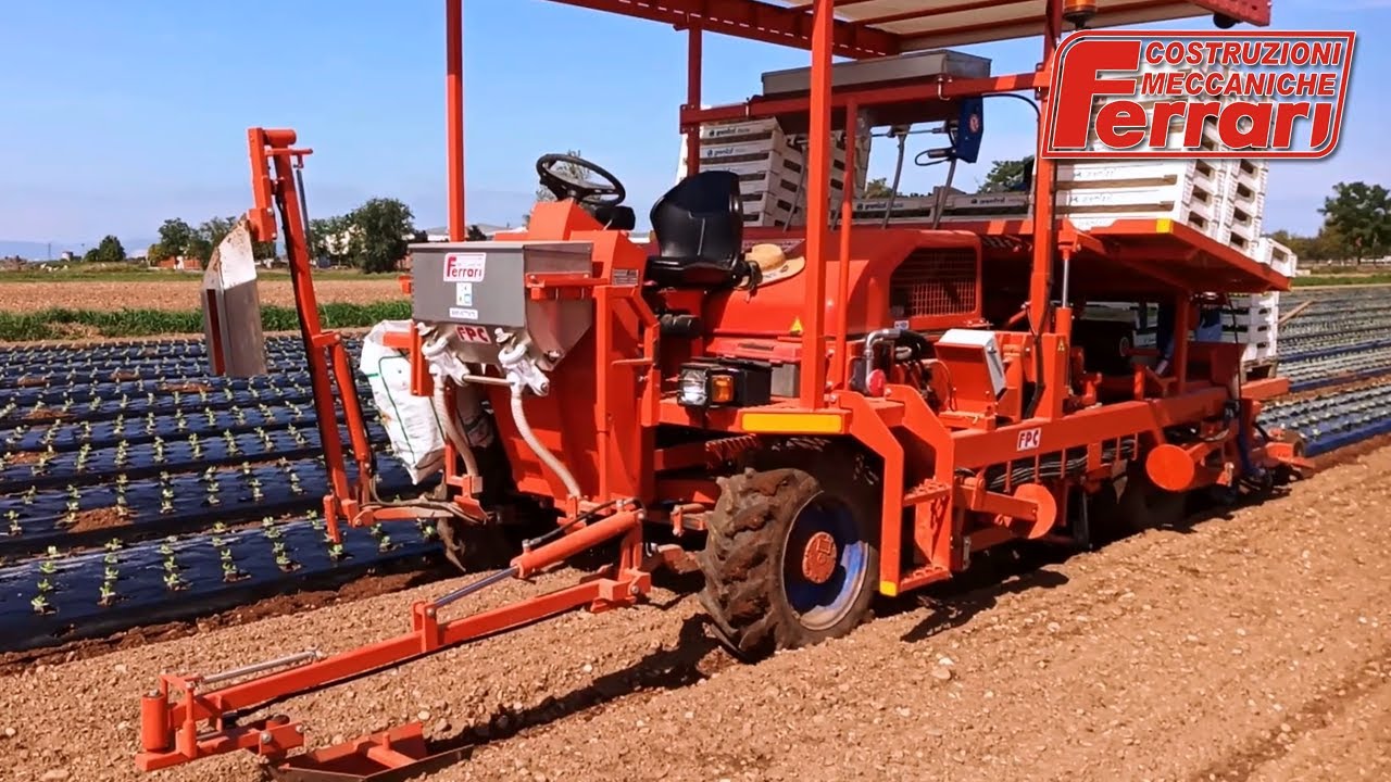 FPC: the Ferrari mulch transplanter