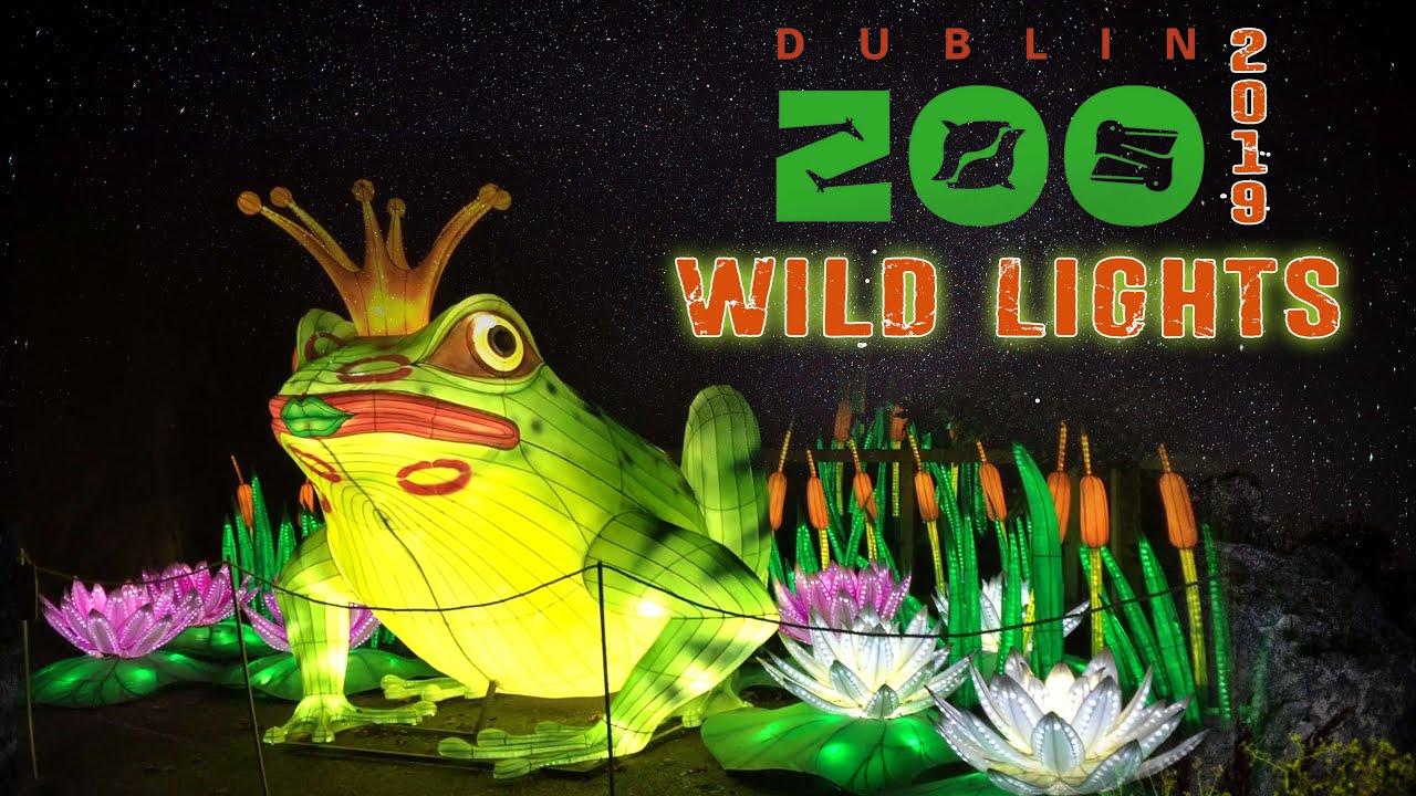 Dublin Zoo Wild Lights 2019 | New Theme - Stories, Myths and Legends