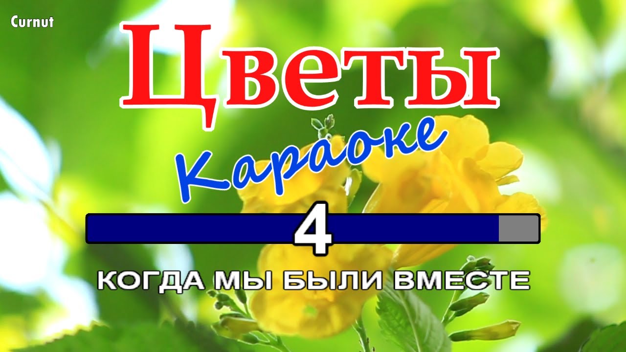 Группа Курнуц - Когда мы были вместе (Цветы) - КАРАОКЕ