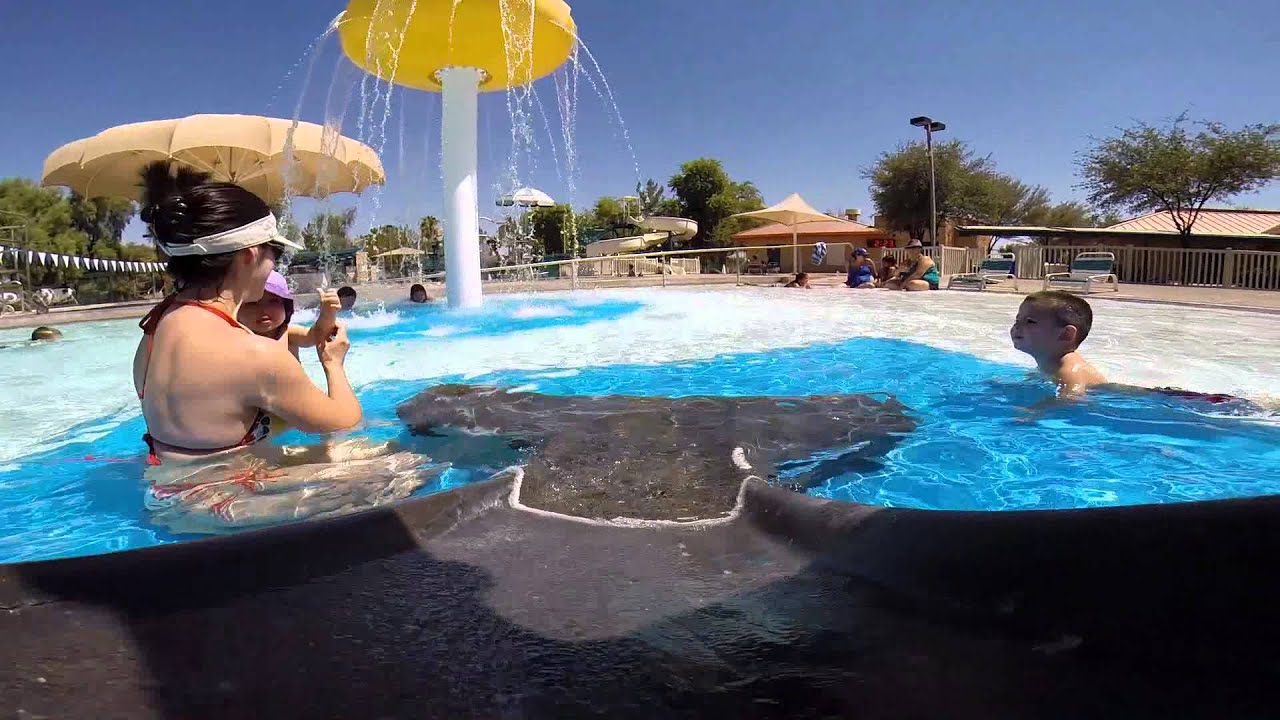 Desert Oasis Aquatic Center