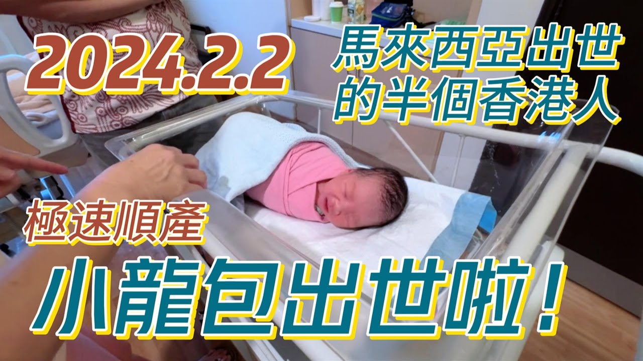 2024.2.2 小龍包順產出世啦！兔尾龍頭，抓緊兔仔的尾巴