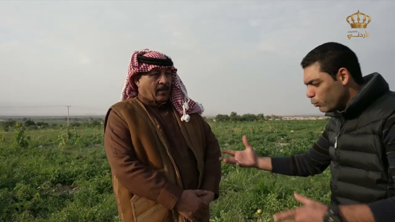 صباح الوطن الجميل من الأغوار الجنوبية