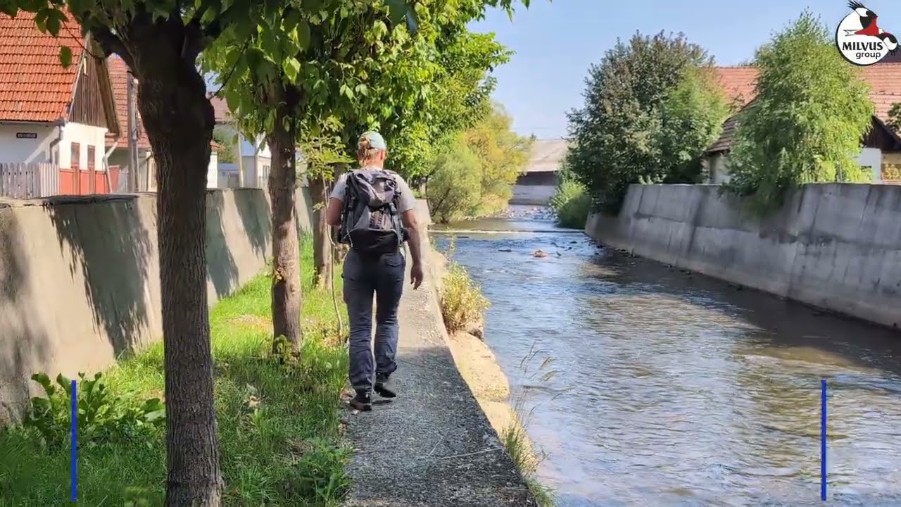 Râuri libere în Bazinul Superior al Mureșului / Szabad folyókért a Maros felső vízgyűjtőjében