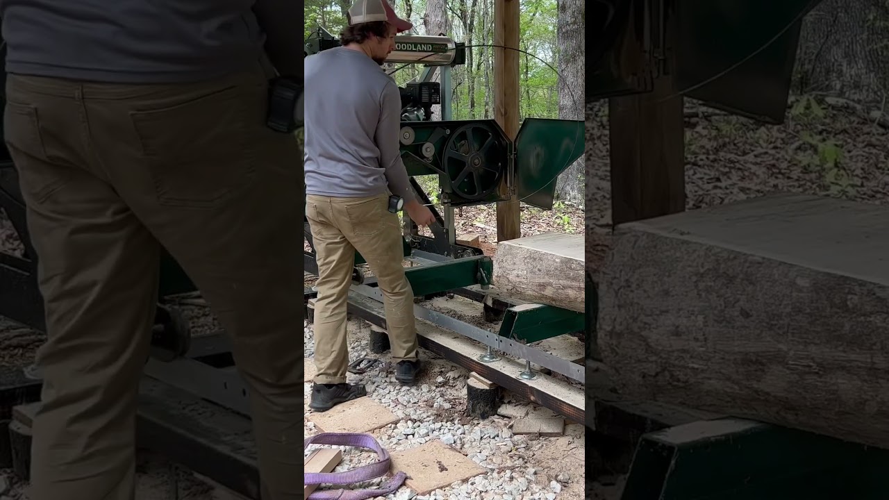 White Oak Tree Facts and History Pt7 #shorts #shortsvideo #wood #sawmill #facts #history #outdoors