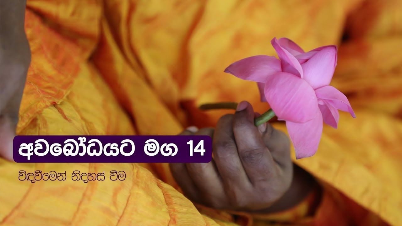 අවබෝධයට මග  14 | විදවීමෙන් නිදහස් වීම
