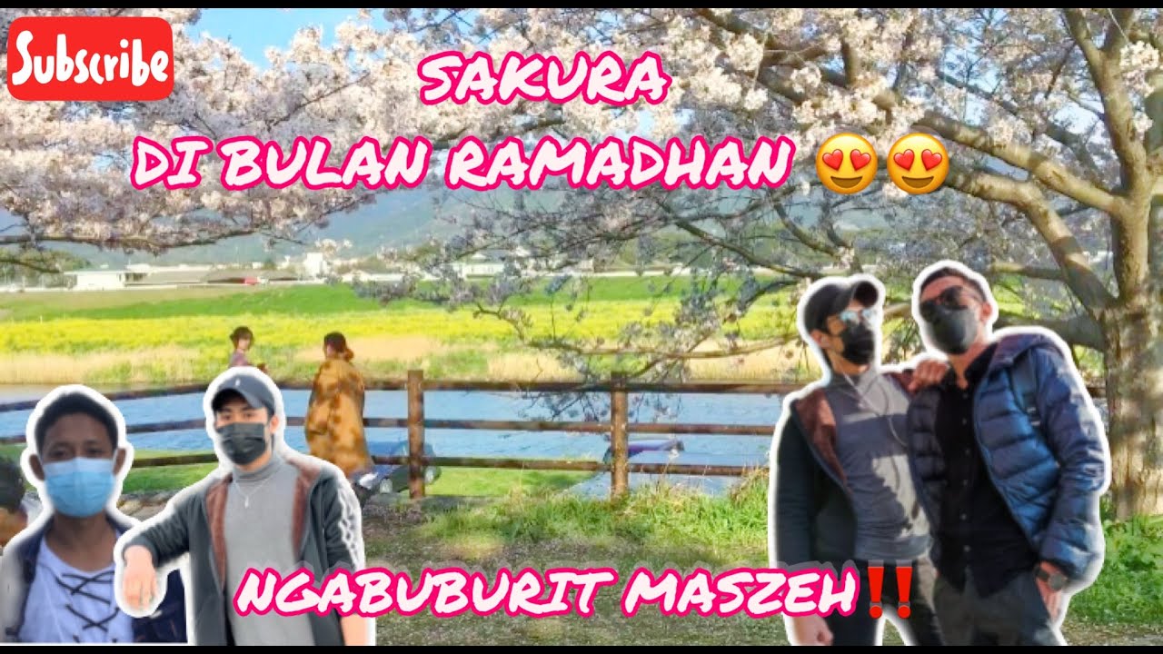 VLOG#13 🔴 NGABUBURIT BARENG CEWE JEPANG DI TAMAN SAKURA 😍❤️‼️