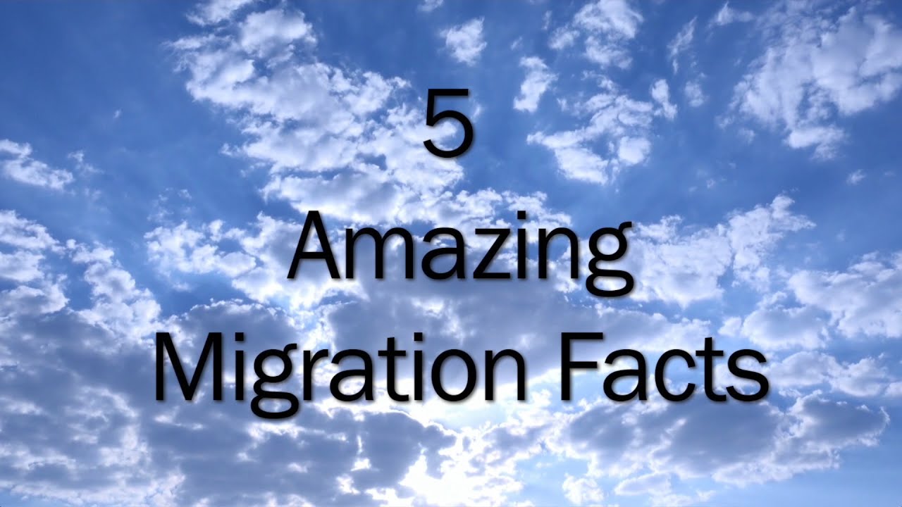 5 Amazing Migration Facts