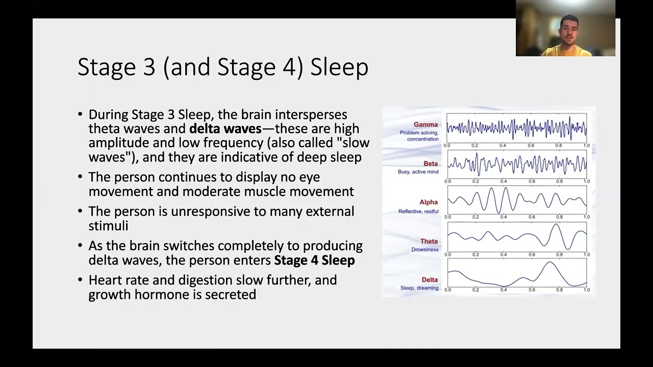 Free MCAT 15 Week Supplement Biology | Sleep and Consciousness | Topics: 2/4