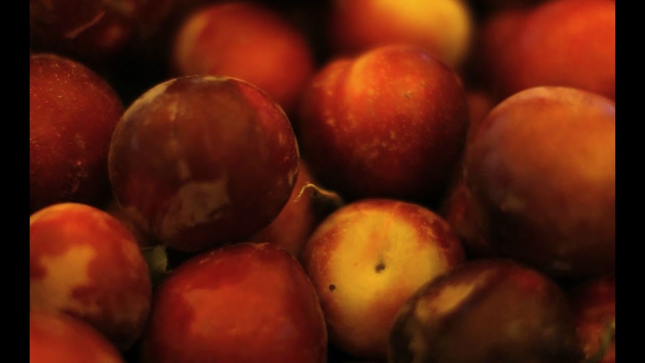 Tips and tricks on buying fresh plums