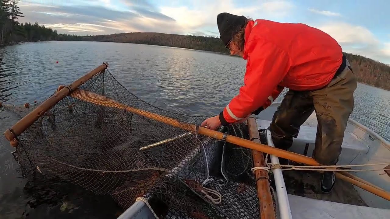 Great Salmon Tour: Arctic Char in Maine