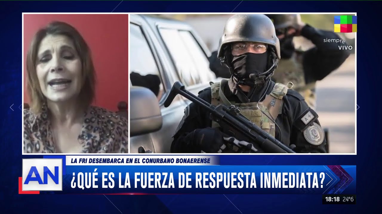 &iquest;Qu&eacute; es la fuerza de respuesta inmediata?