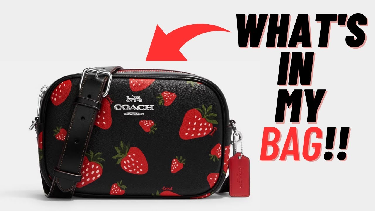 Whats In My COACH Strawberry Jamie Bag & A Small DOLLAR TREE Haul👛✨