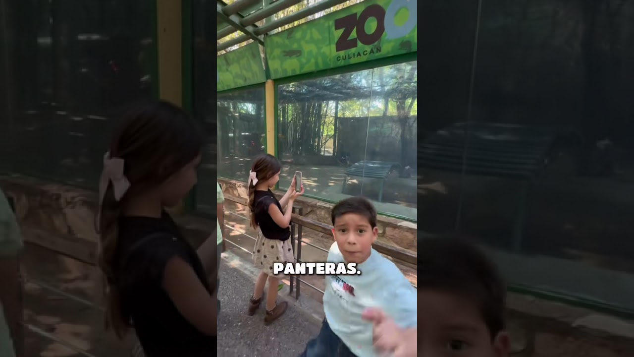 Un día en el zoológico 🐯