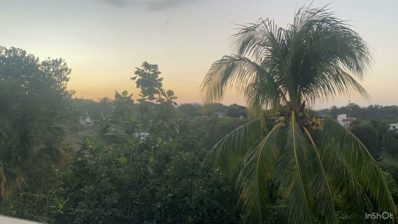 Lever du jour à Rincōn