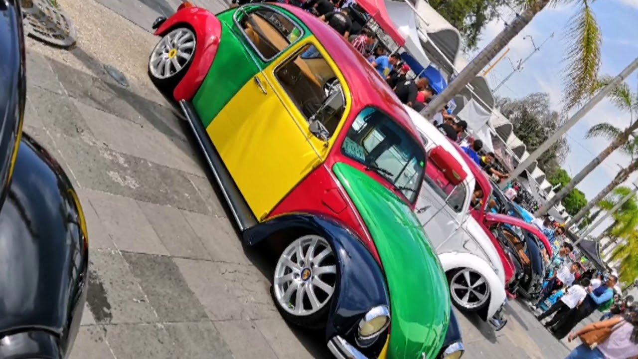 Festibug 21