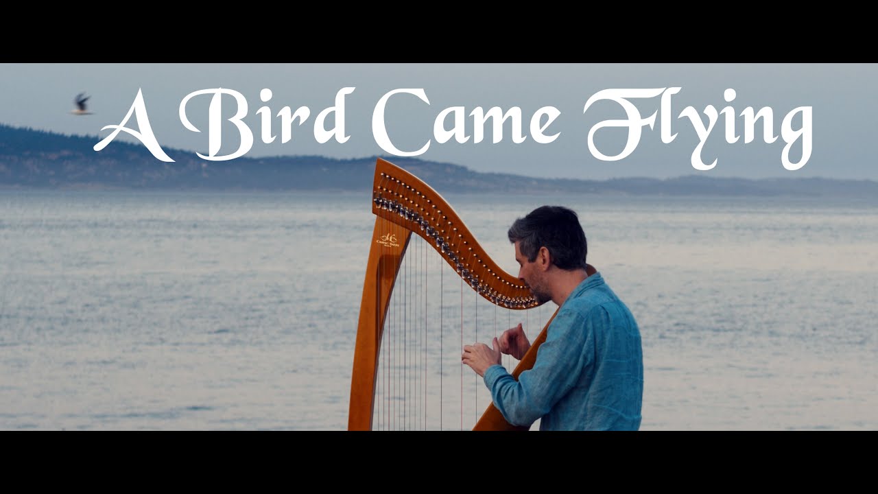 A Bird Came Flying - Harpist in the Wild