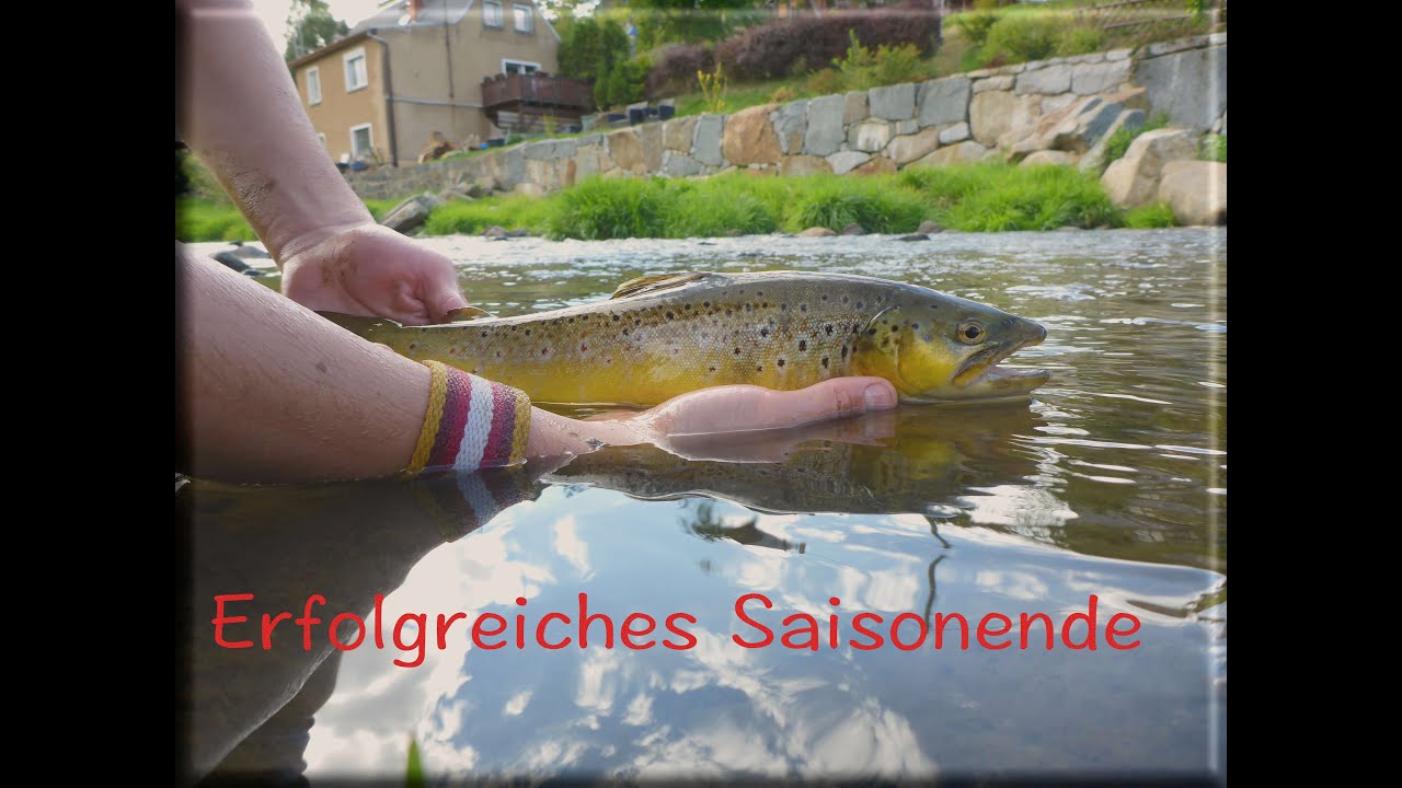 Spinnangeln - unterwegs am Bach // Saisonfinale