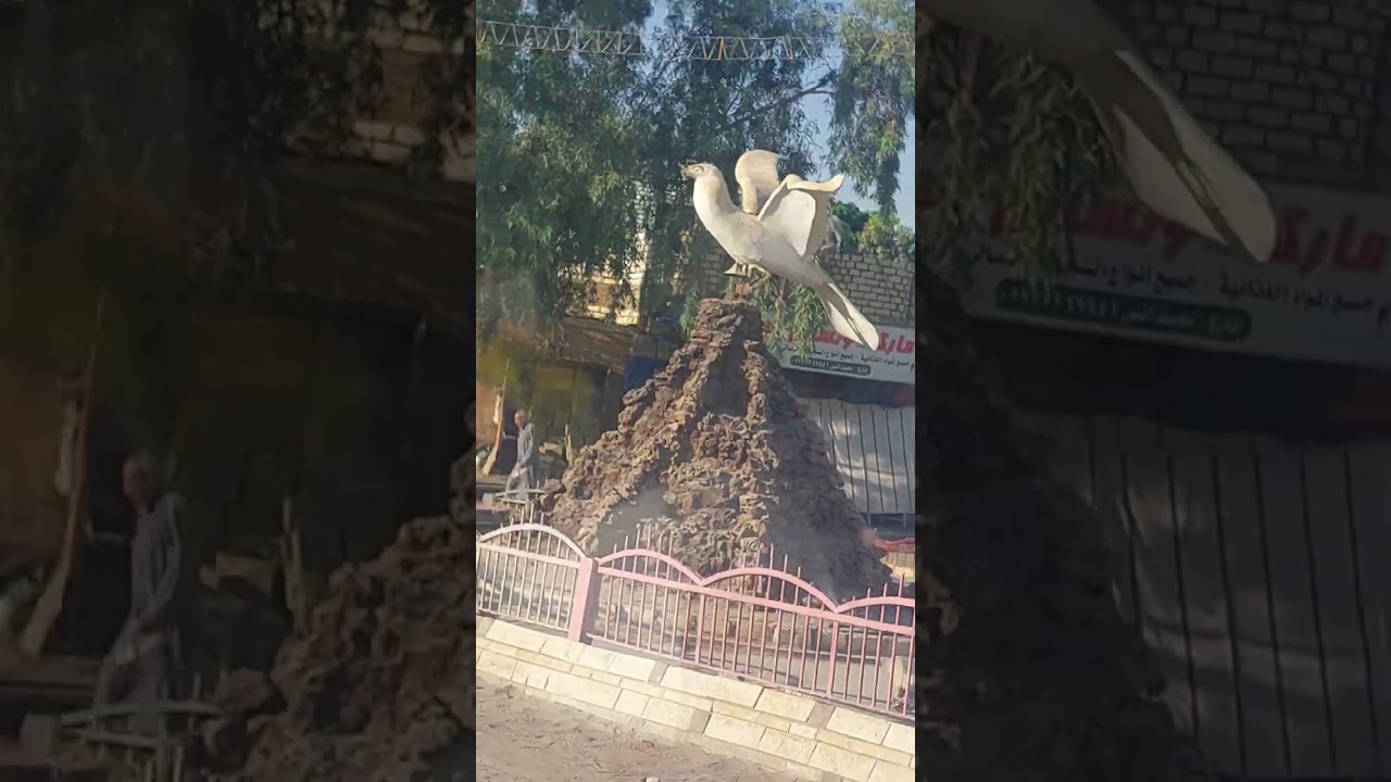الواحات البحريه من واحه القصر الي الباويطي