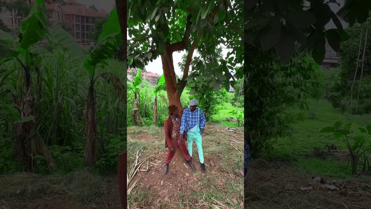 Omumwaaaa!