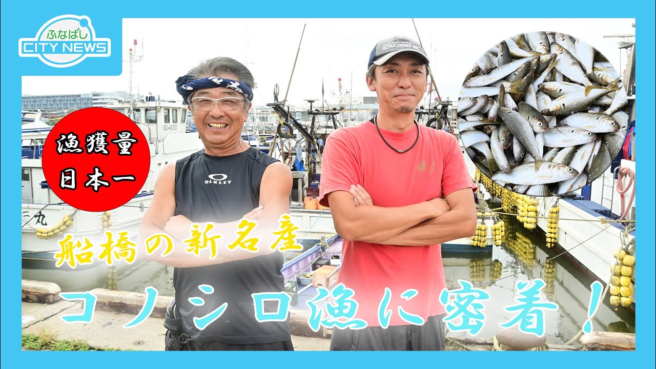 【船橋の新名物 コノシロ漁に密着！ 漁獲量日本一！新鮮な海の幸をお届け】【漁港の朝市　ふなばしハワイアンフェスティバル ふなばしの魅力を発信！！】ふなばしCITYNEWS令和7年１０月１５日放送